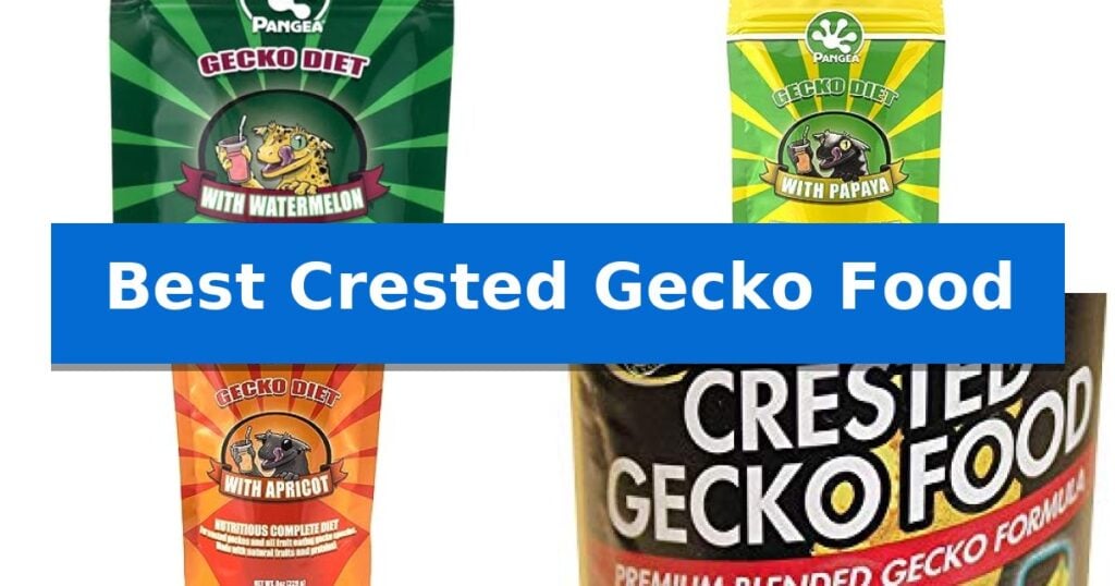 Best Crested Gecko Food