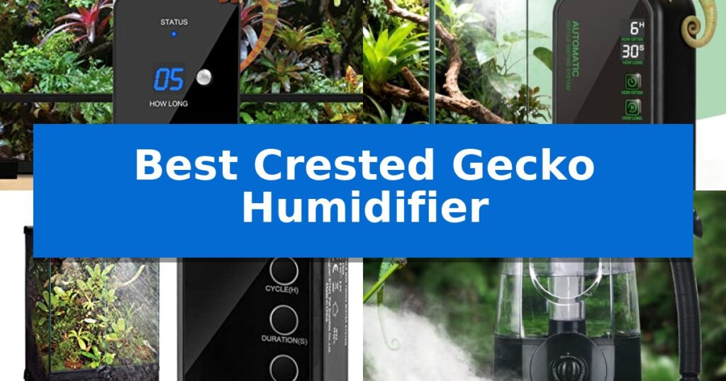 Best Crested Gecko Humidifier
