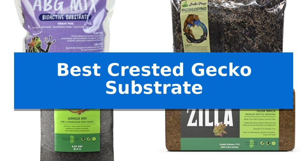 Best Crested Gecko Substrate