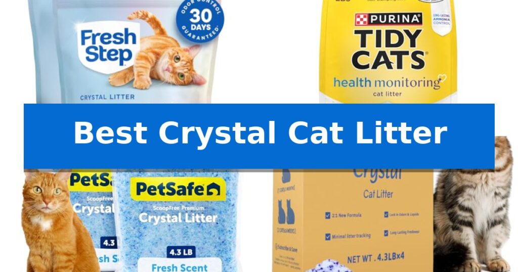 Best Crystal Cat Litter