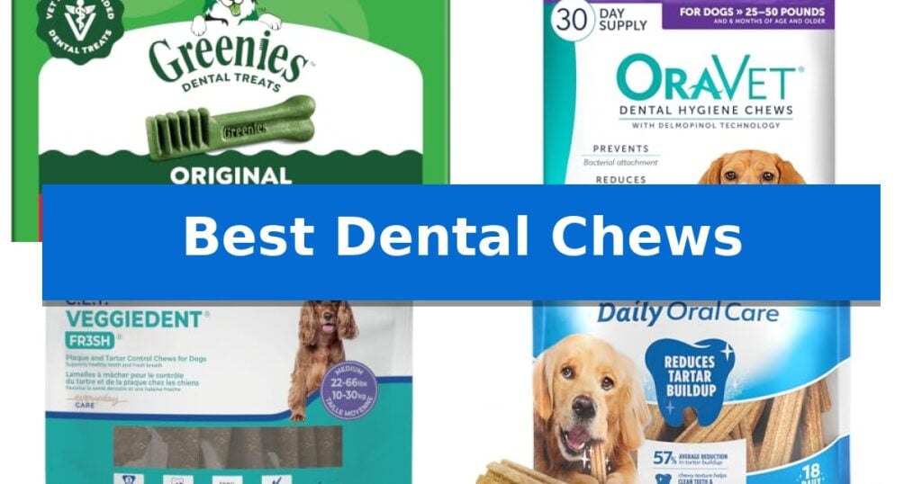 Best Dental Chews