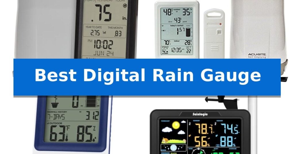 Best Digital Rain Gauge