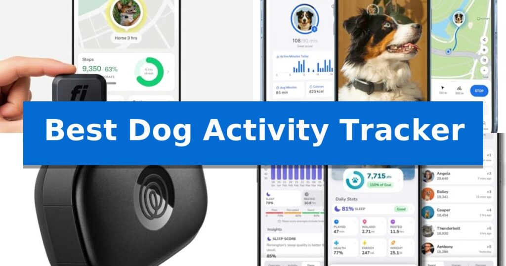 Best Dog Activity Tracker