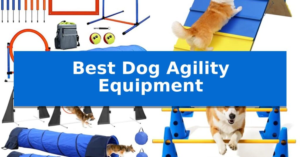Best Dog Agility Equipment