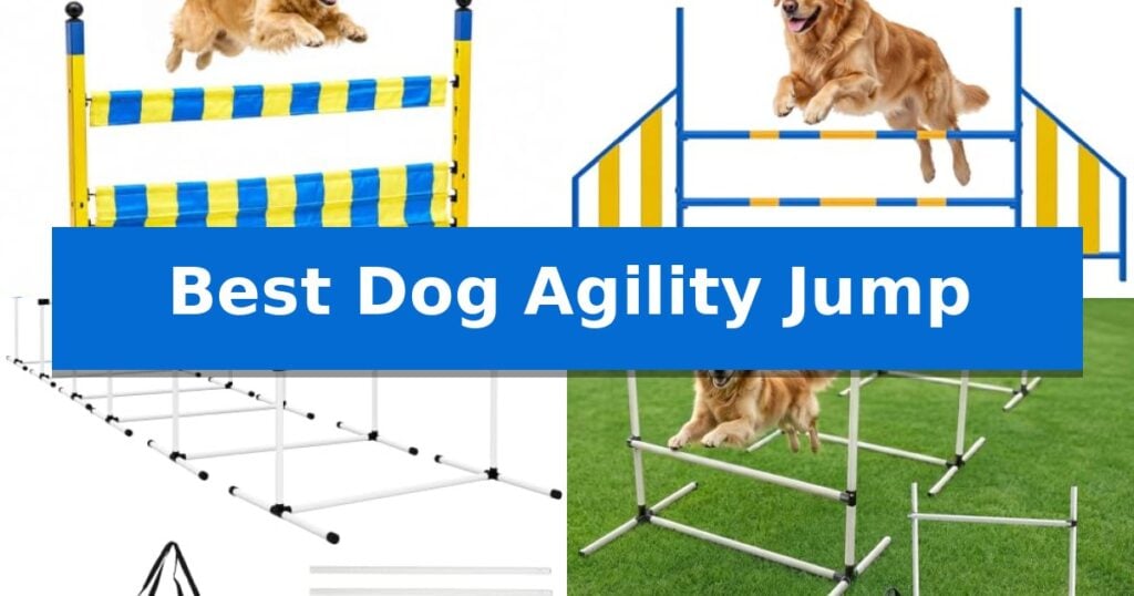 Best Dog Agility Jump