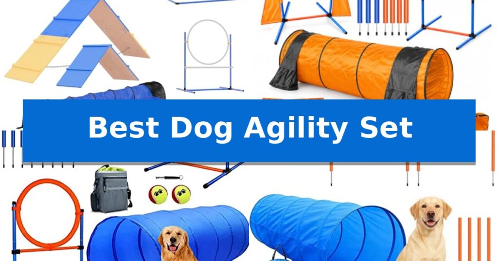 Best Dog Agility Set