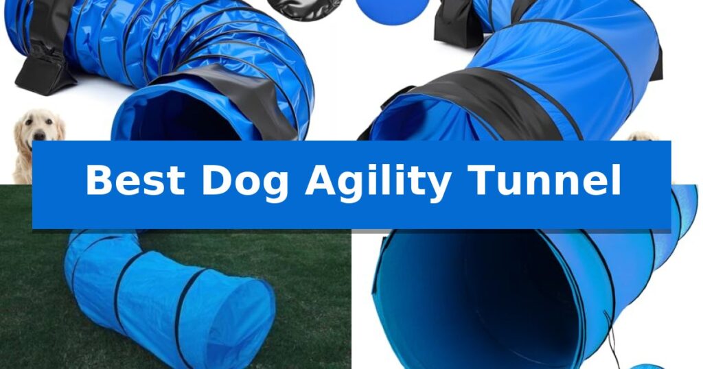 Best Dog Agility Tunnel
