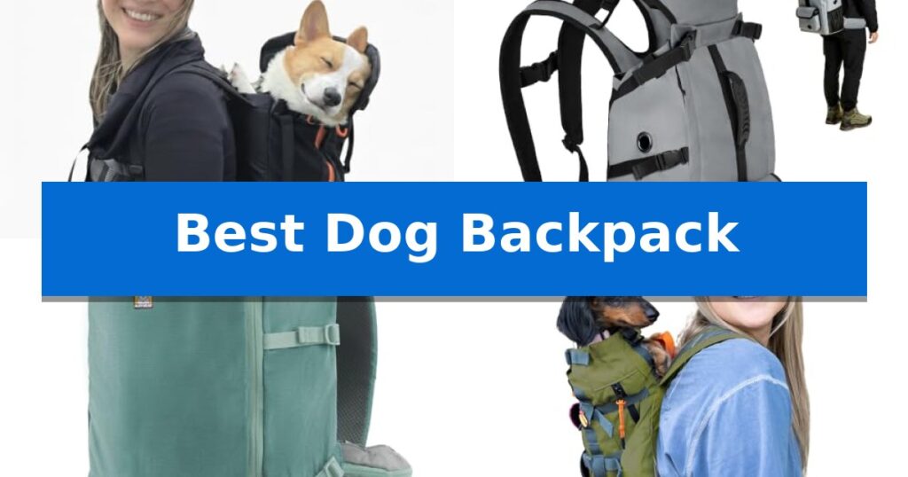 Best Dog Backpack