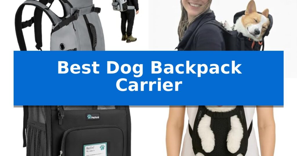 Best Dog Backpack Carrier
