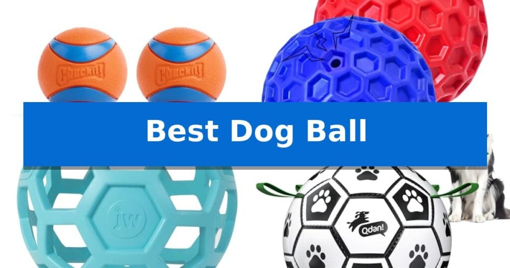 Best Dog Ball