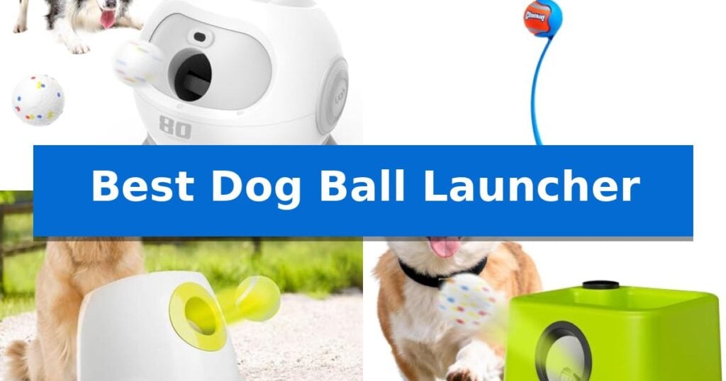 Best Dog Ball Launcher