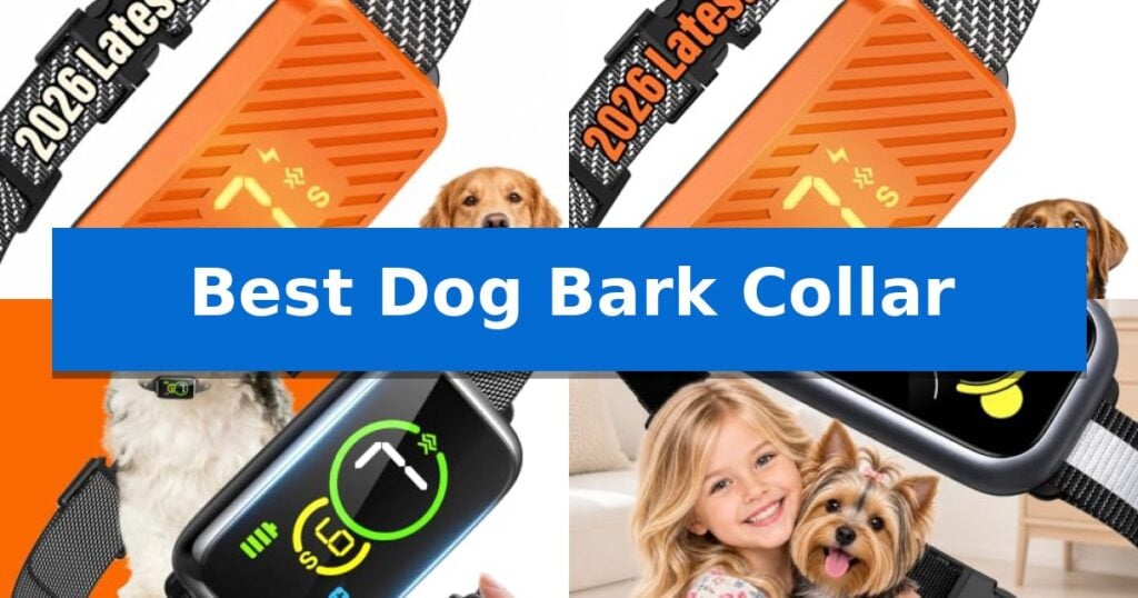 Best Dog Bark Collar