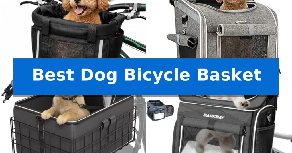 Best Dog Bicycle Basket