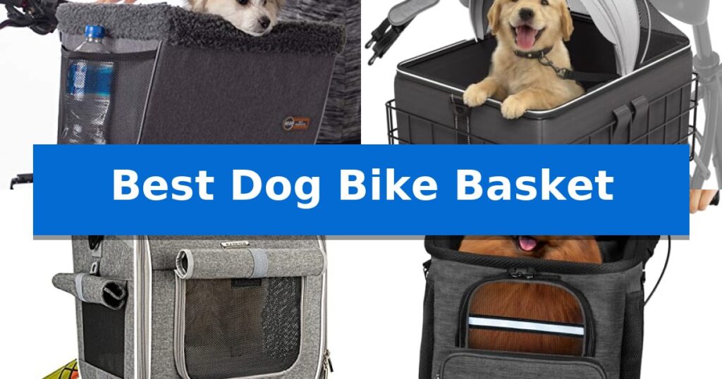 Best Dog Bike Basket