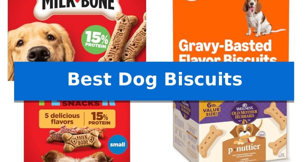 Best Dog Biscuits