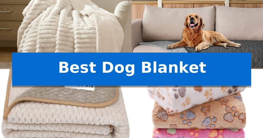 Best Dog Blanket