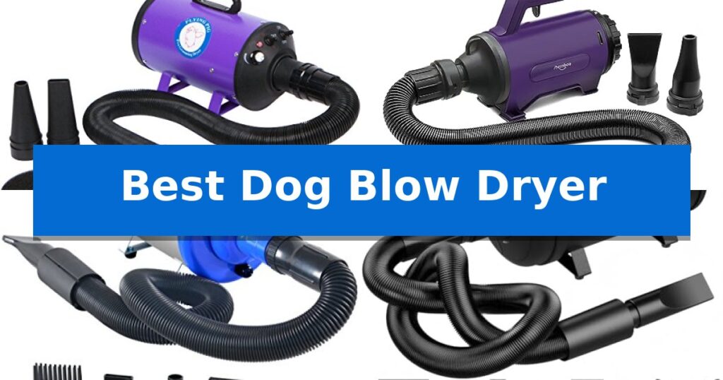 Best Dog Blow Dryer