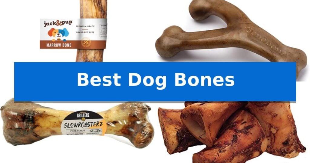 Best Dog Bones