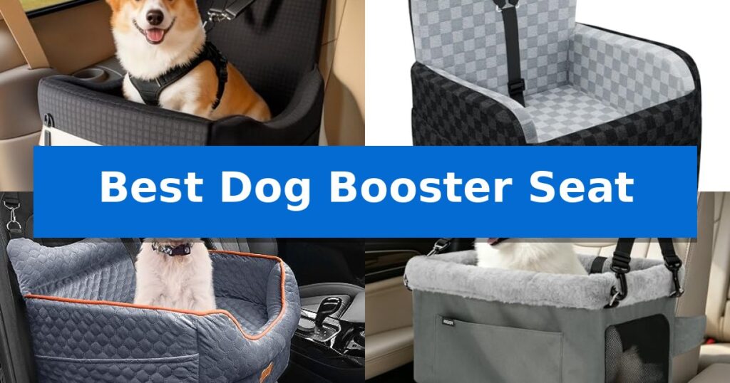 Best Dog Booster Seat