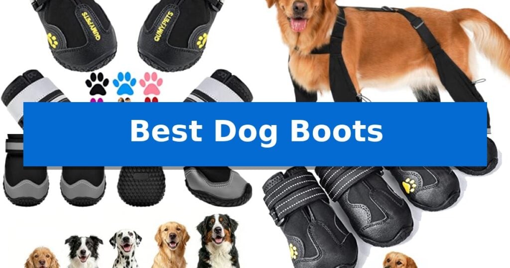 Best Dog Boots