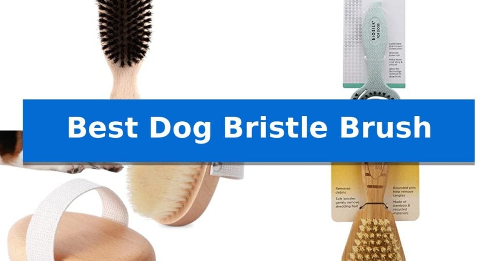 Best Dog Bristle Brush