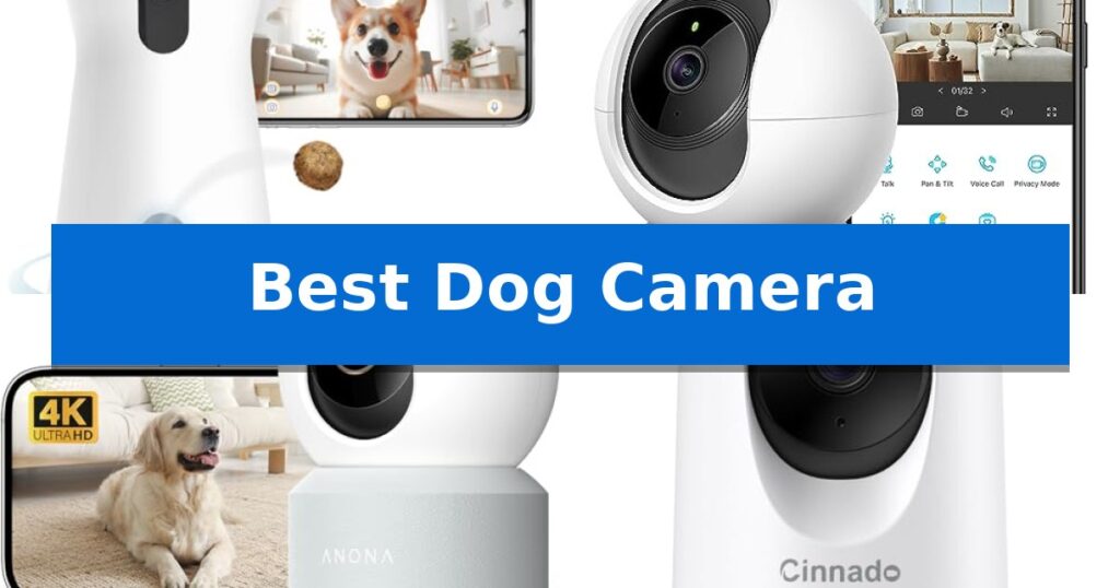 Best Dog Camera
