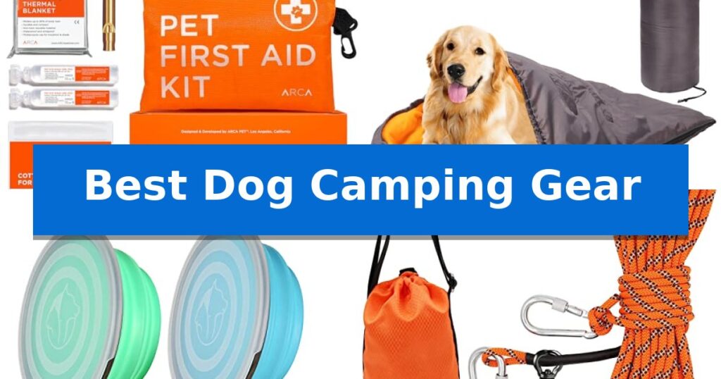 Best Dog Camping Gear