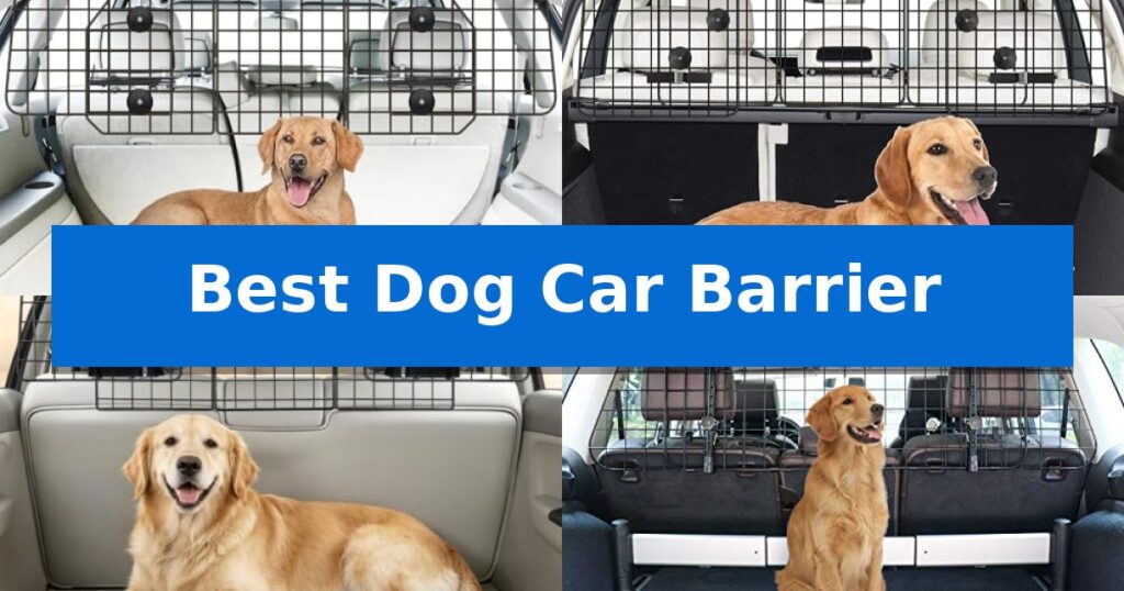 Best Dog Car Barrier