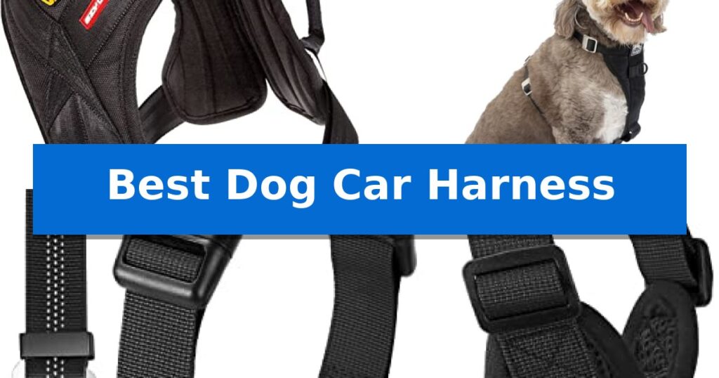 Best Dog Car Harness