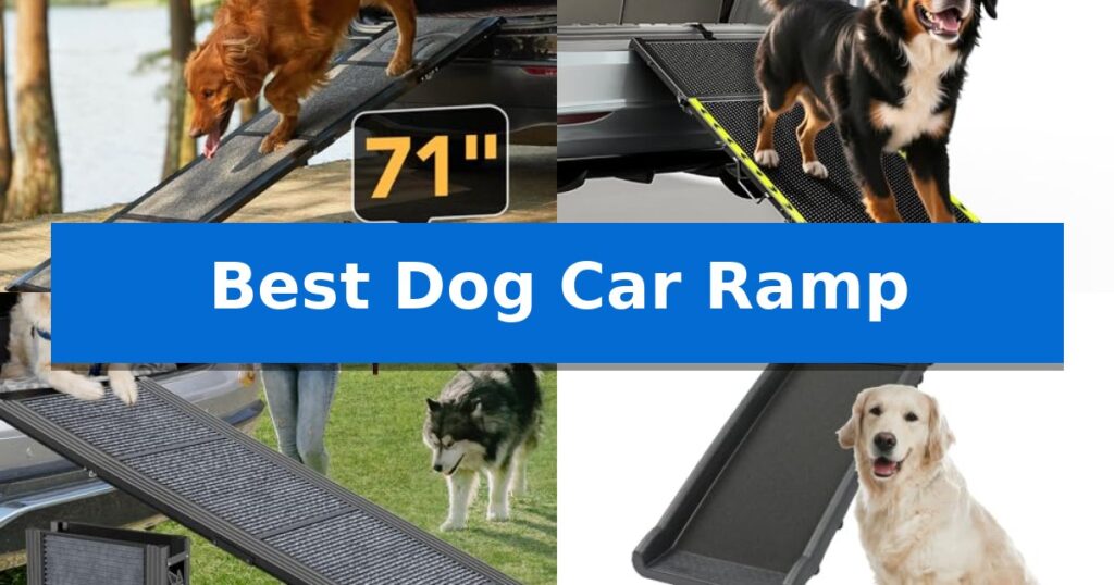 Best Dog Car Ramp