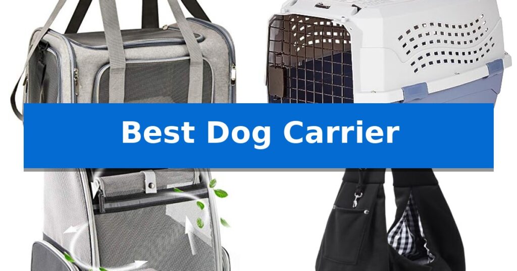 Best Dog Carrier