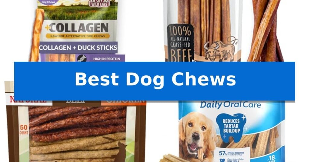 Best Dog Chews