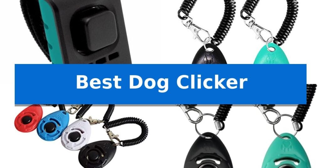 Best Dog Clicker