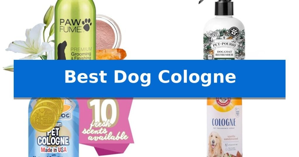 Best Dog Cologne