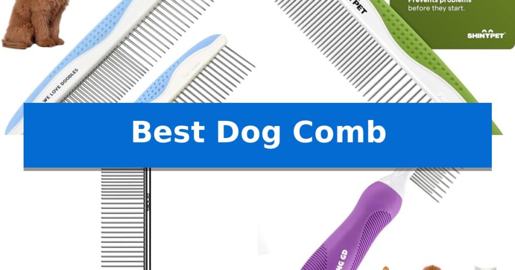 Best Dog Comb