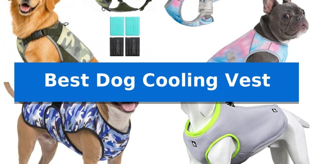 Best Dog Cooling Vest