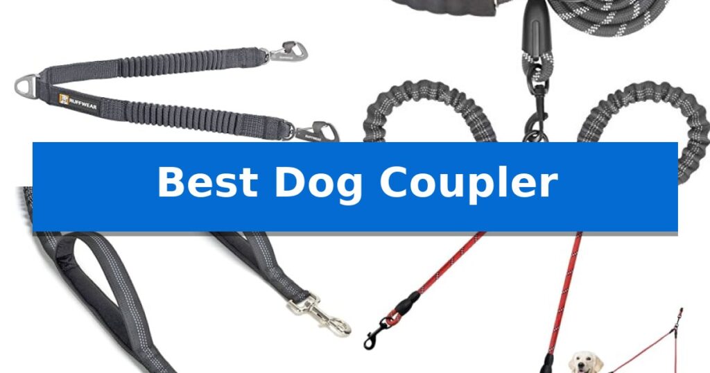 Best Dog Coupler