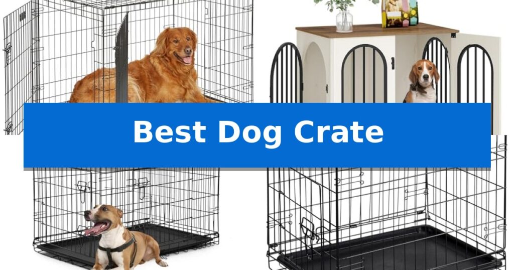 Best Dog Crate