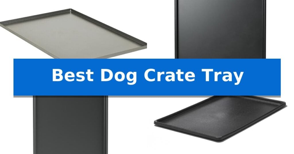 Best Dog Crate Tray