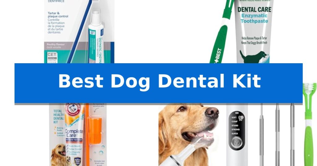 Best Dog Dental Kit
