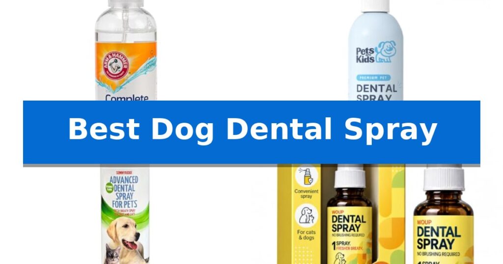 Best Dog Dental Spray
