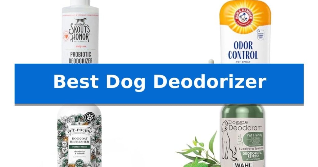 Best Dog Deodorizer