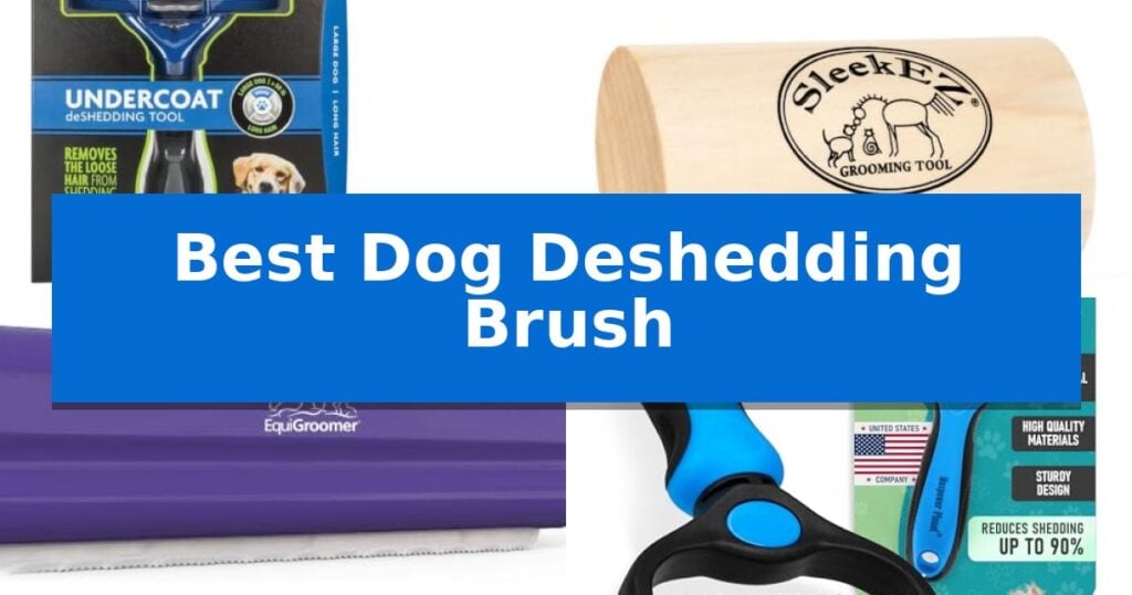 Best Dog Deshedding Brush