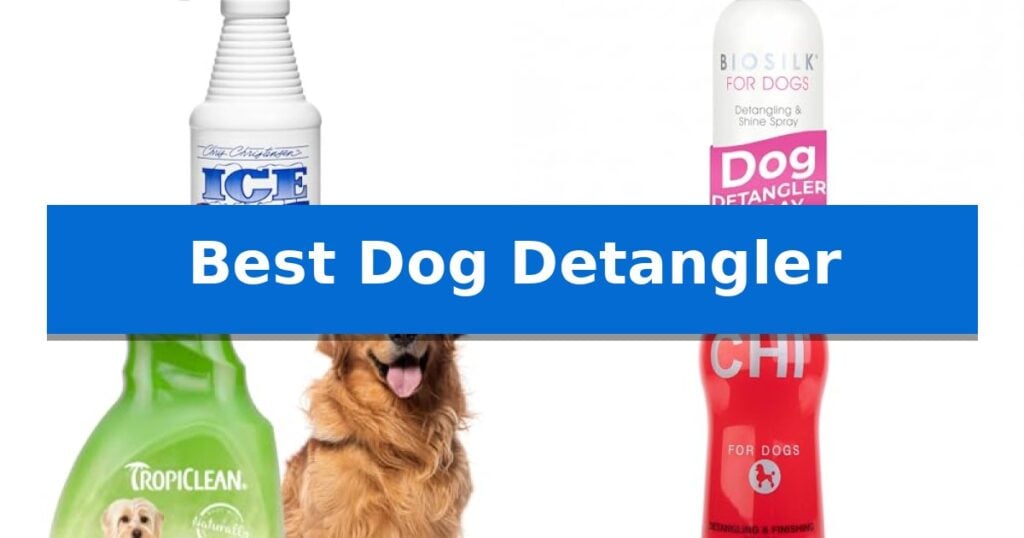 Best Dog Detangler