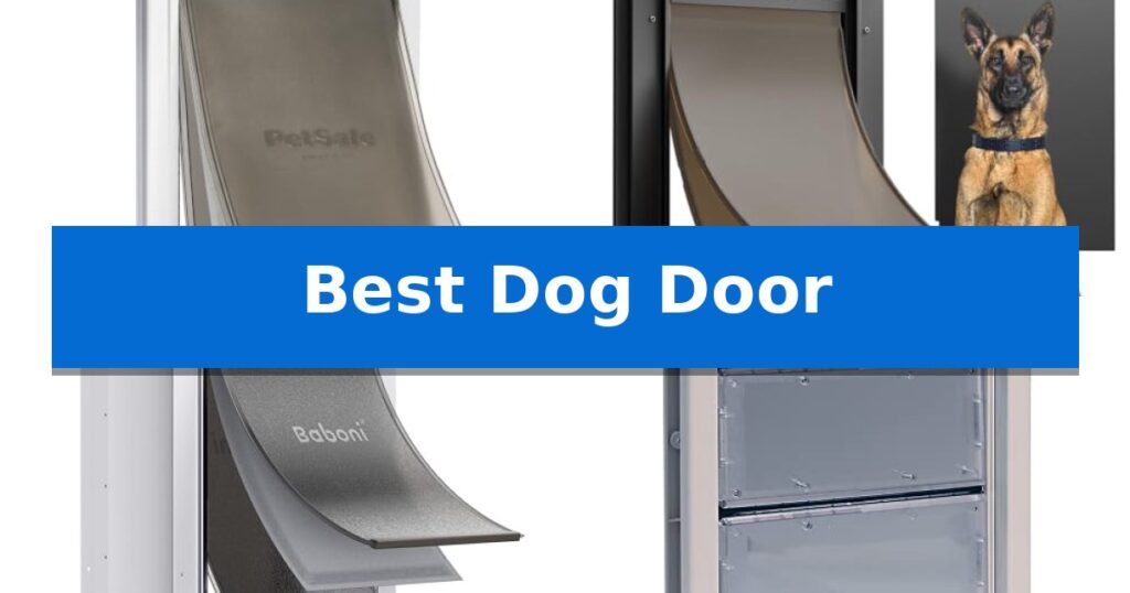 Best Dog Door