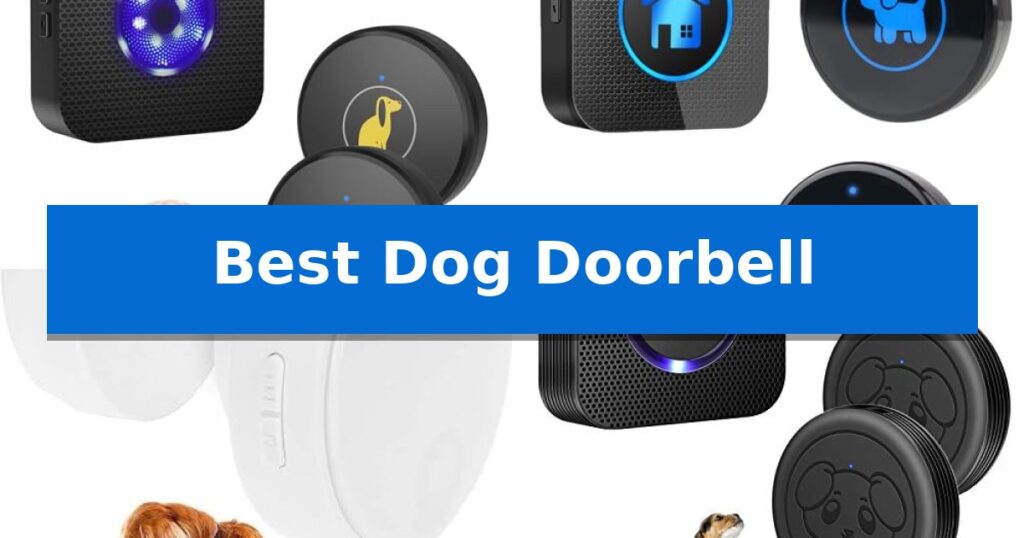 Best Dog Doorbell