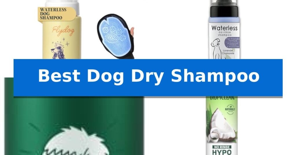 Best Dog Dry Shampoo