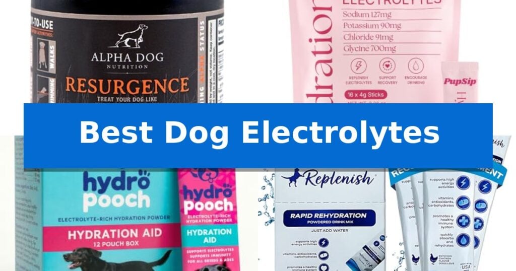 Best Dog Electrolytes