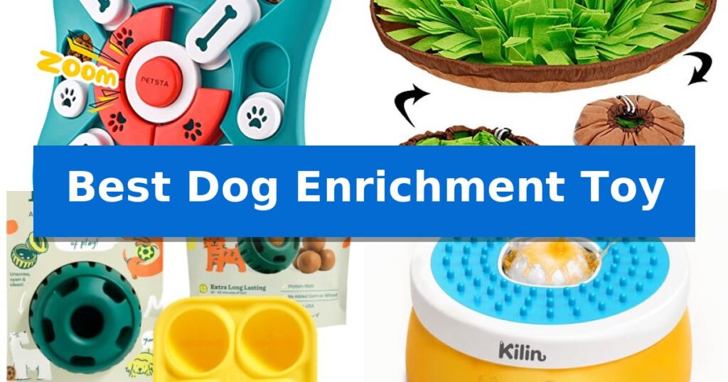 Best Dog Enrichment Toy