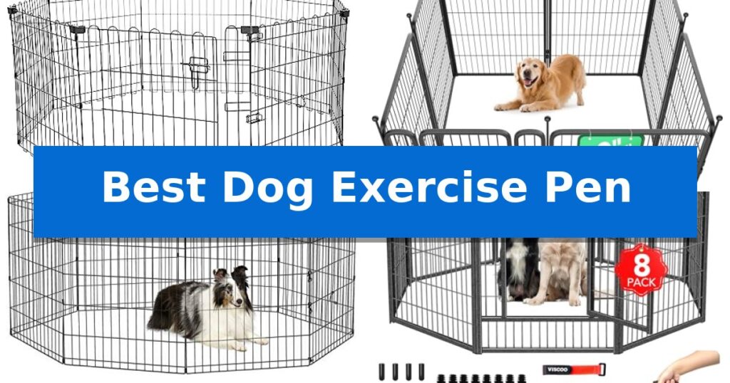 Best Dog Exercise Pen